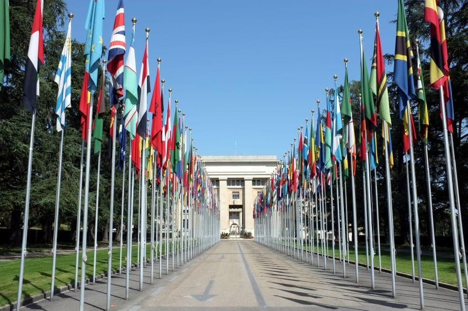 善良與糊塗的界線