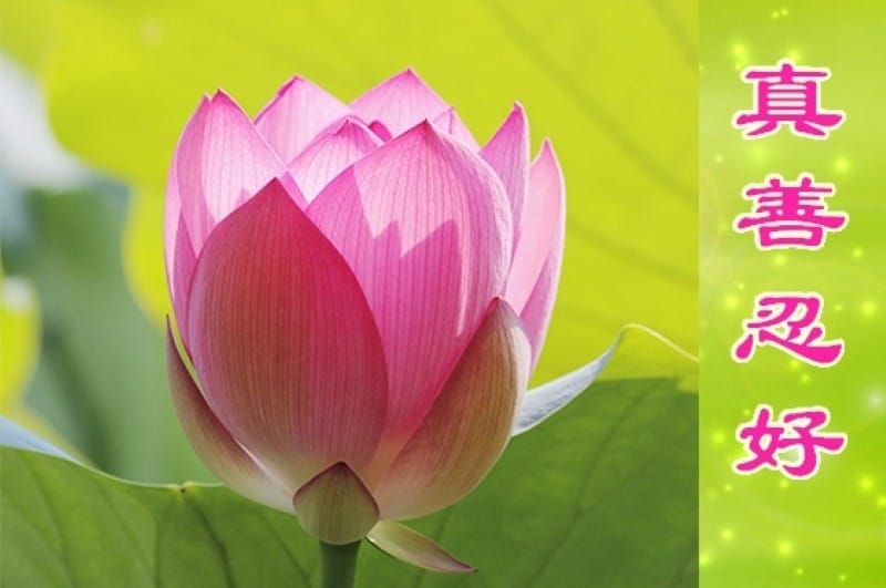 十六年成長路：我那說「不」的堅持