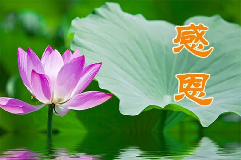 歐洲人走入東方修煉：找到內心的平靜