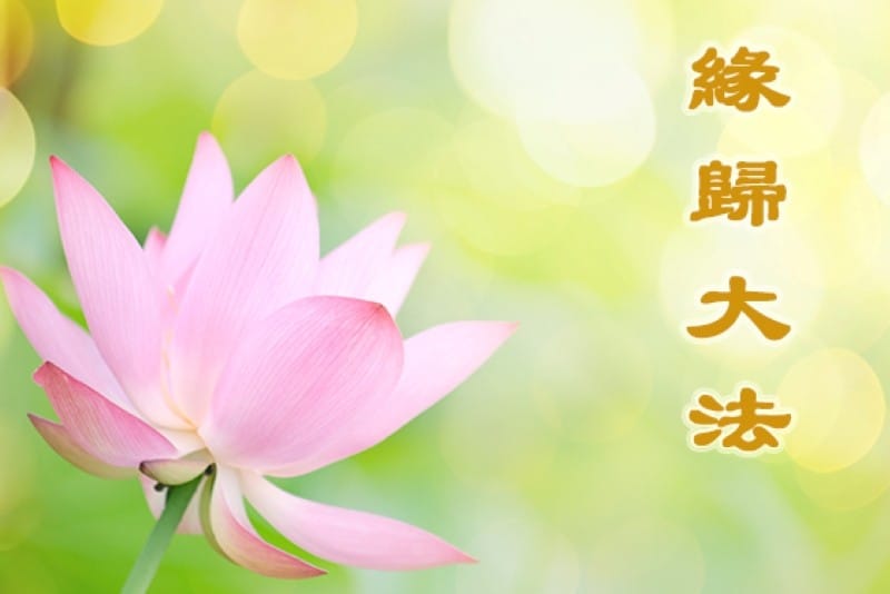 多倫多青年：修煉帶來智慧與成長