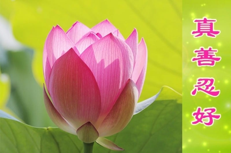 零零後青年：我那對「特別的」中國式父母