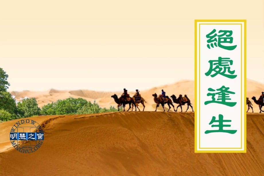 生命垂危的大嫂重獲神采