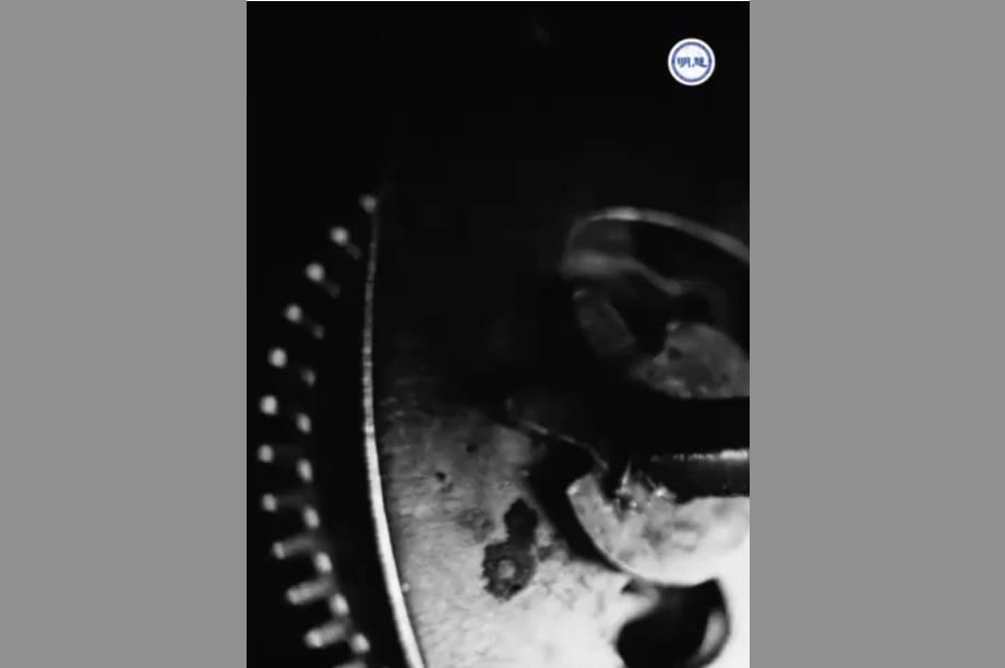 【明慧短視頻】：權力崩塌時，誰來為你的「聽命」買單？