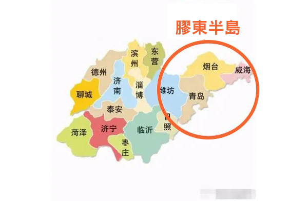村書記默默收下了真相資料