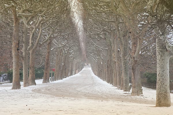 巴黎雪後的重逢：一名中國留學生五年間的心理轉變