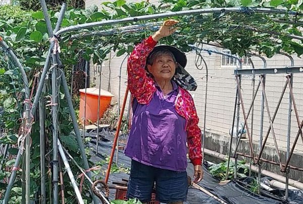 命運多舛   50嵗遇到分水嶺