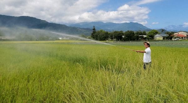 種出安心糧  專注脚下路